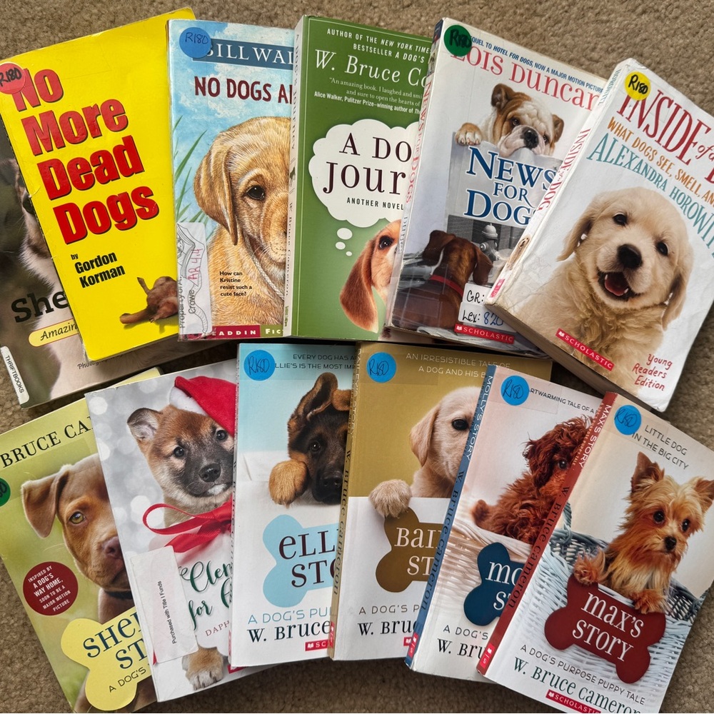 Scholastic Yellow and Green Dog Toy